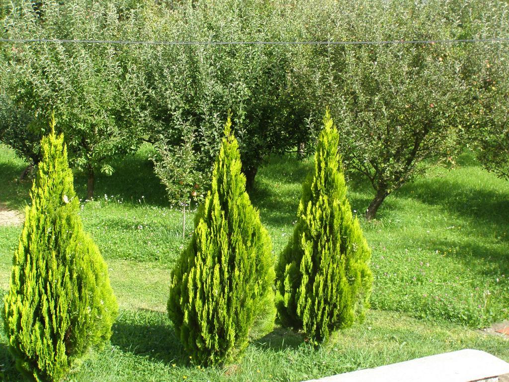 Pension Harmonia Miercurea Ciuc Esterno foto